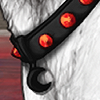 Red's Collar